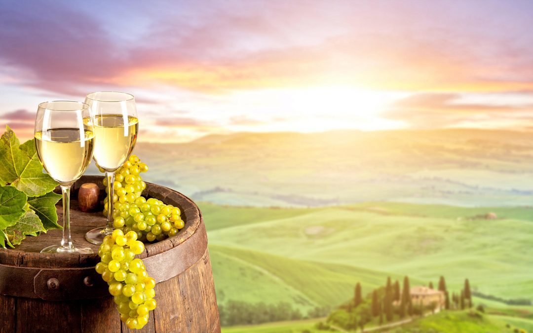 Electronic engineers help wine growers to vintage success